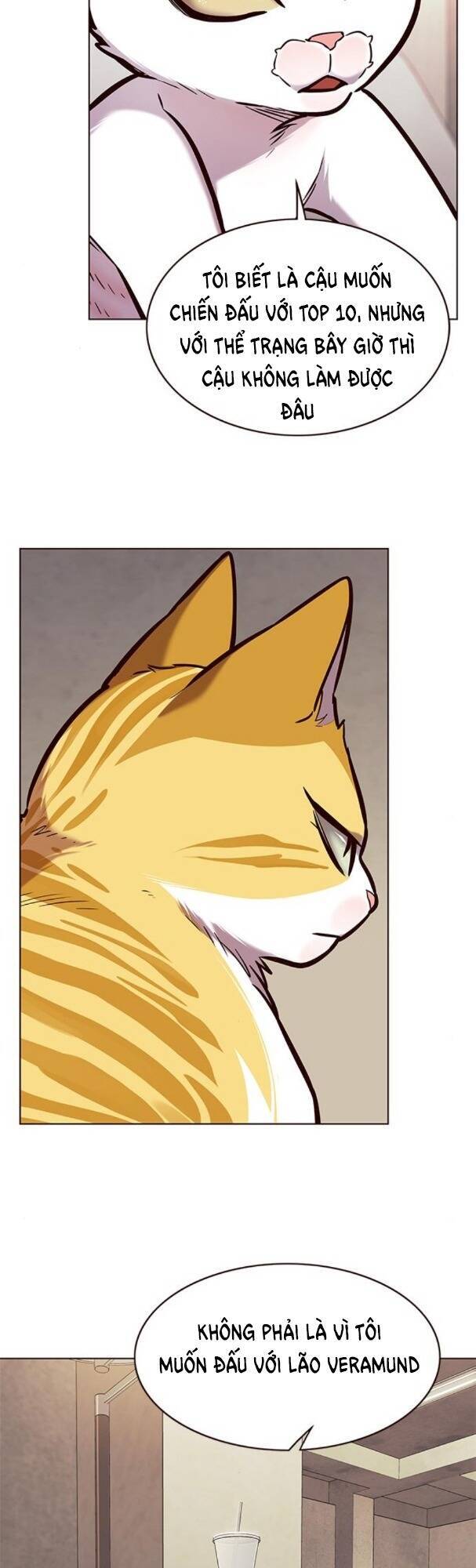 Hoá Thân Thành Mèo - Chapter 173 - Page 29