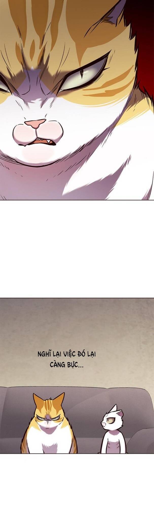 Hoá Thân Thành Mèo - Chapter 173 - Page 31