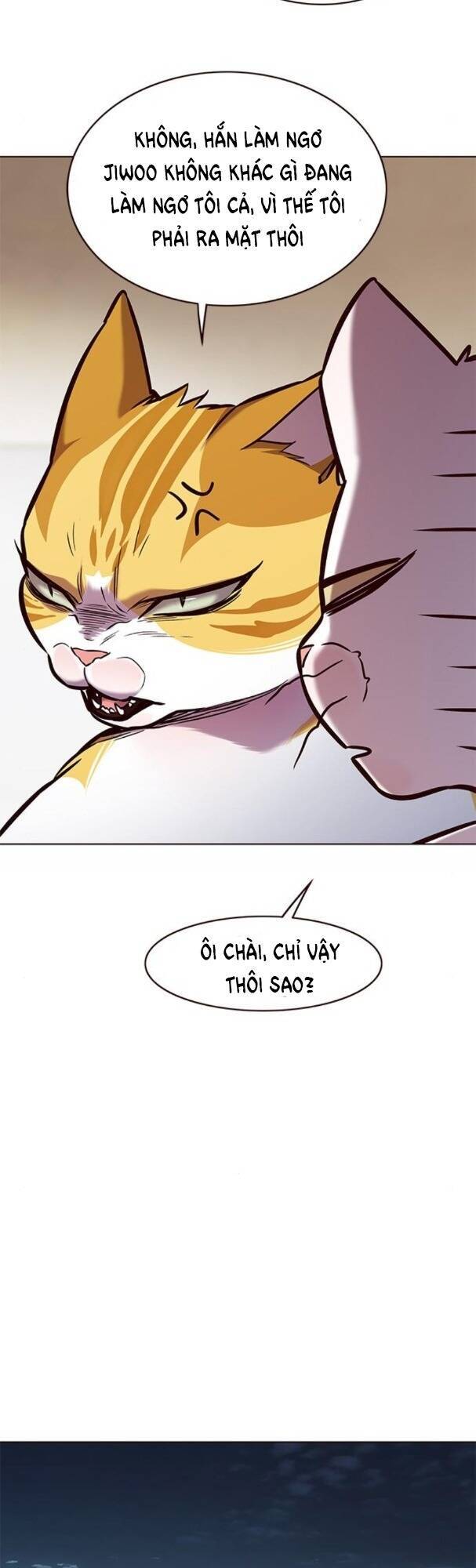 Hoá Thân Thành Mèo - Chapter 173 - Page 33