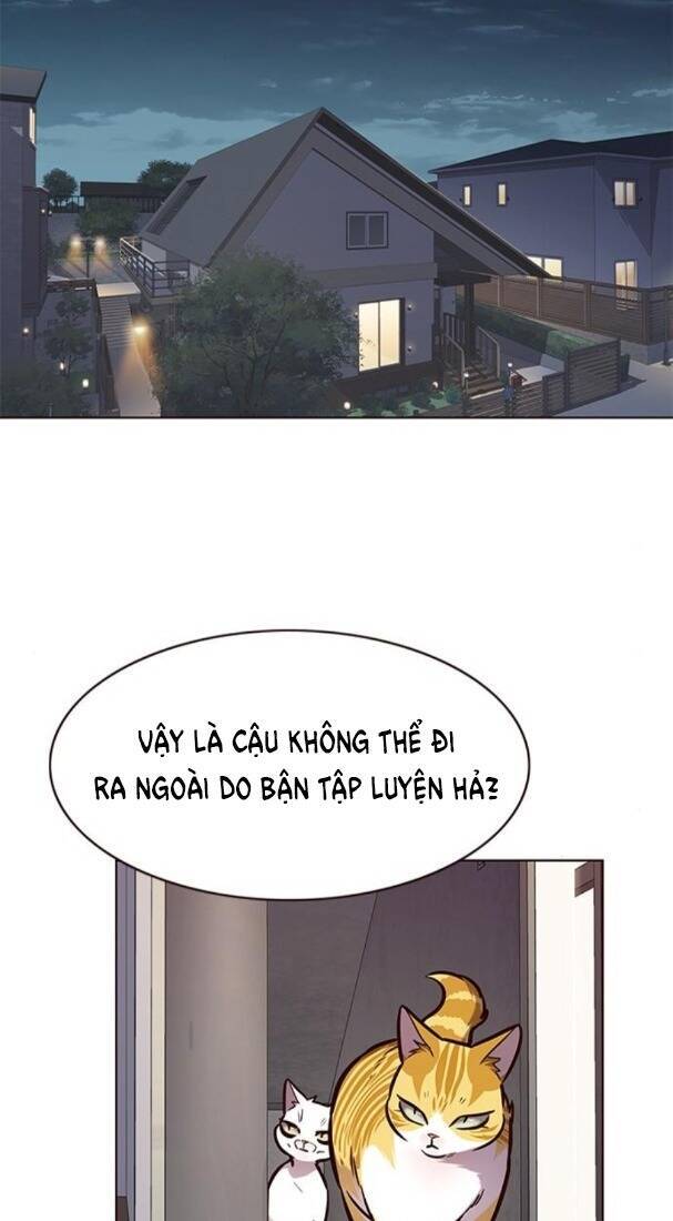 Hoá Thân Thành Mèo - Chapter 173 - Page 34