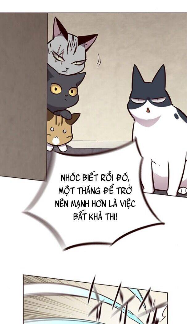 Hoá Thân Thành Mèo - Chapter 174 - Page 30