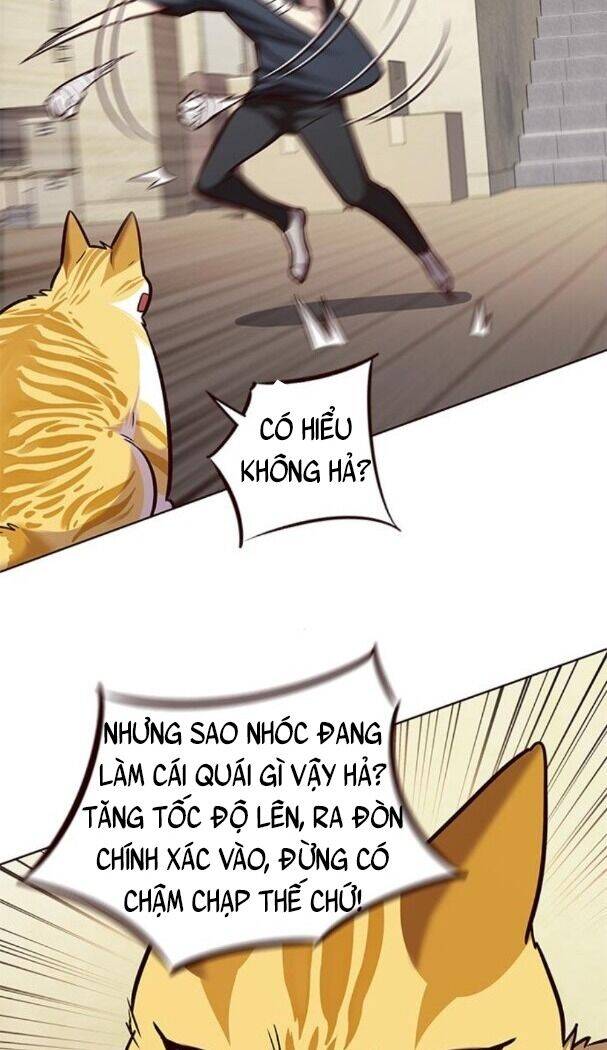 Hoá Thân Thành Mèo - Chapter 174 - Page 33