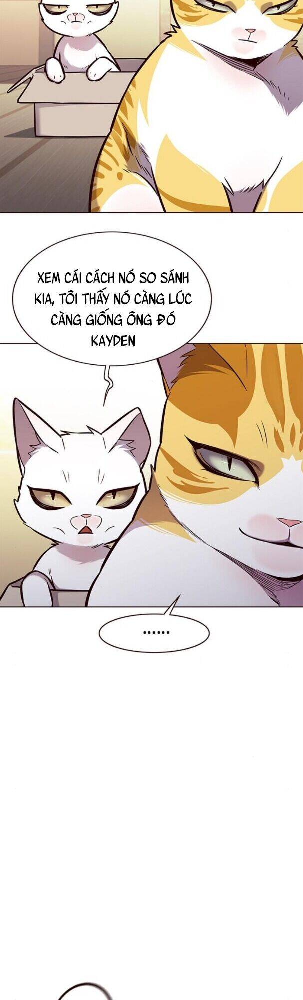 Hoá Thân Thành Mèo - Chapter 174 - Page 38