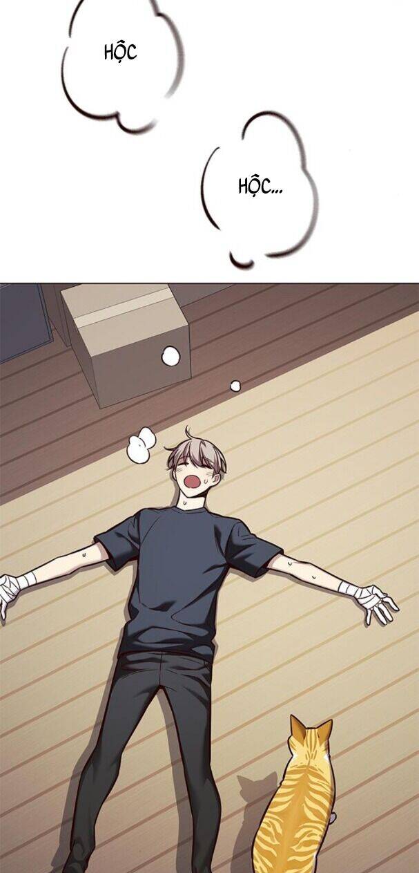 Hoá Thân Thành Mèo - Chapter 174 - Page 39