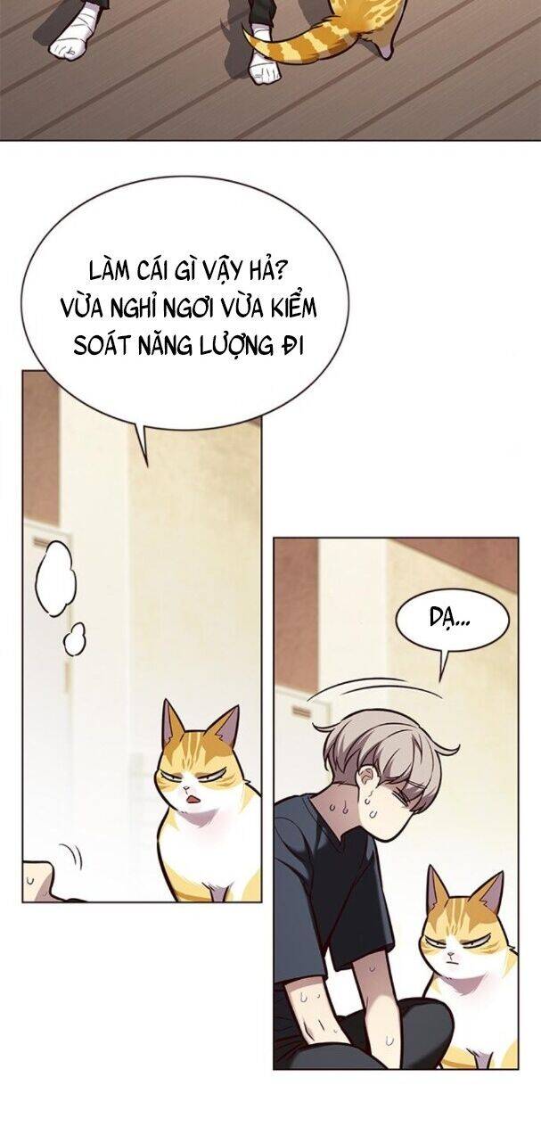Hoá Thân Thành Mèo - Chapter 174 - Page 40