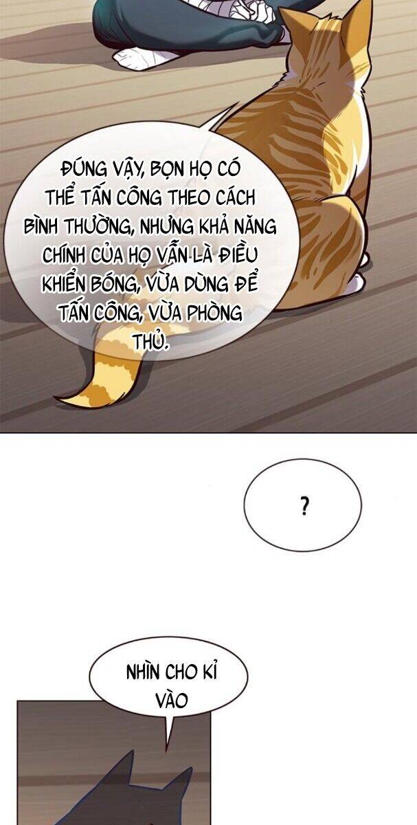 Hoá Thân Thành Mèo - Chapter 174 - Page 42