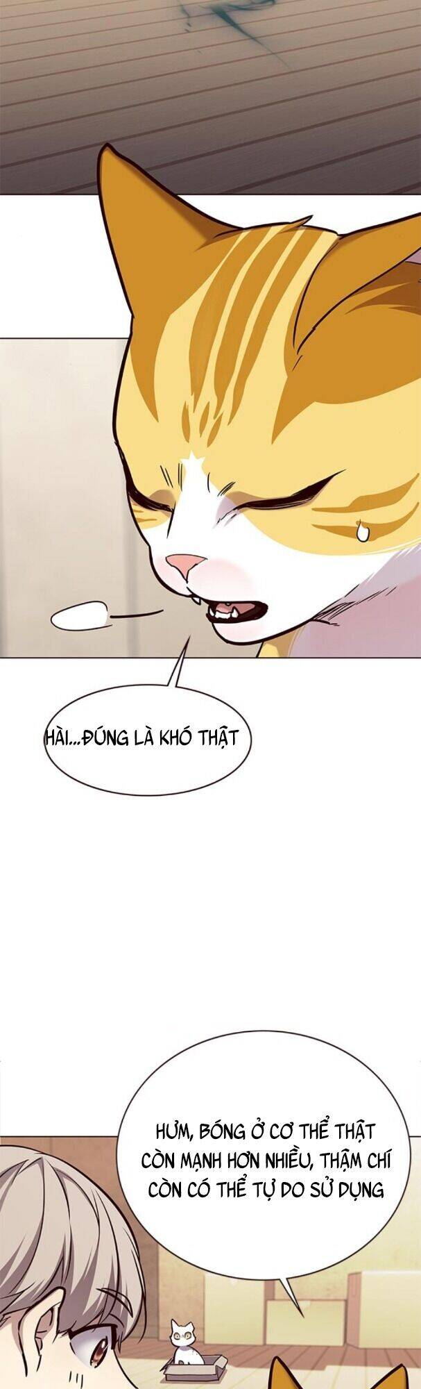 Hoá Thân Thành Mèo - Chapter 174 - Page 50