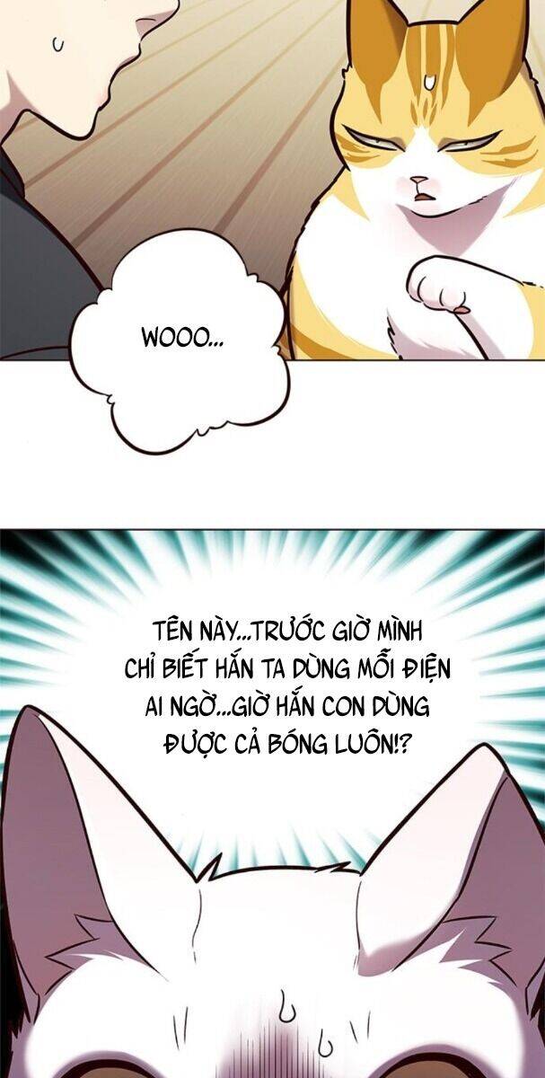 Hoá Thân Thành Mèo - Chapter 174 - Page 51