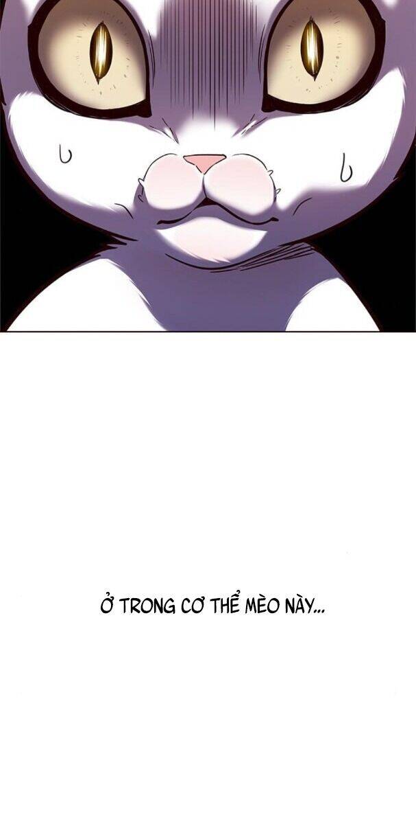 Hoá Thân Thành Mèo - Chapter 174 - Page 52
