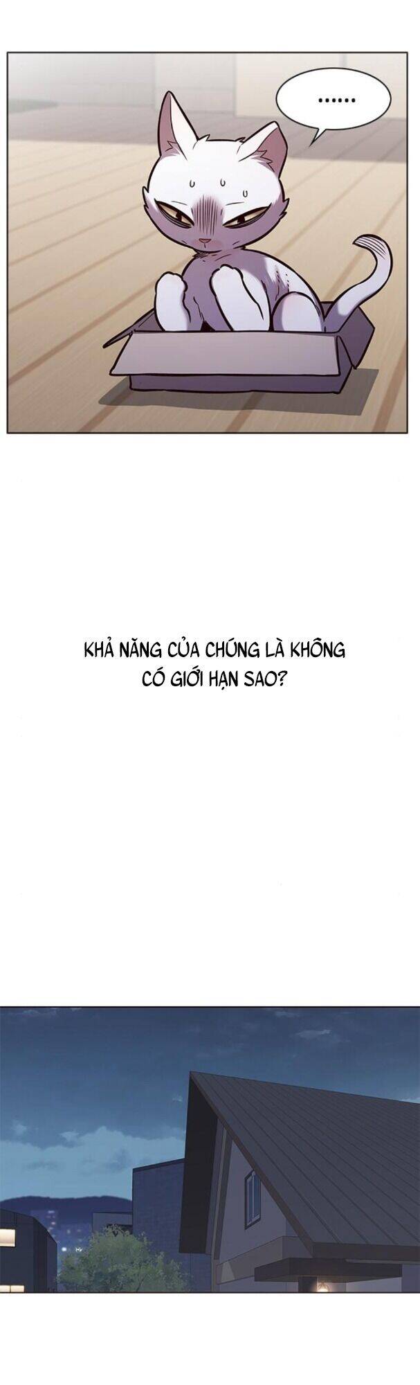 Hoá Thân Thành Mèo - Chapter 174 - Page 53