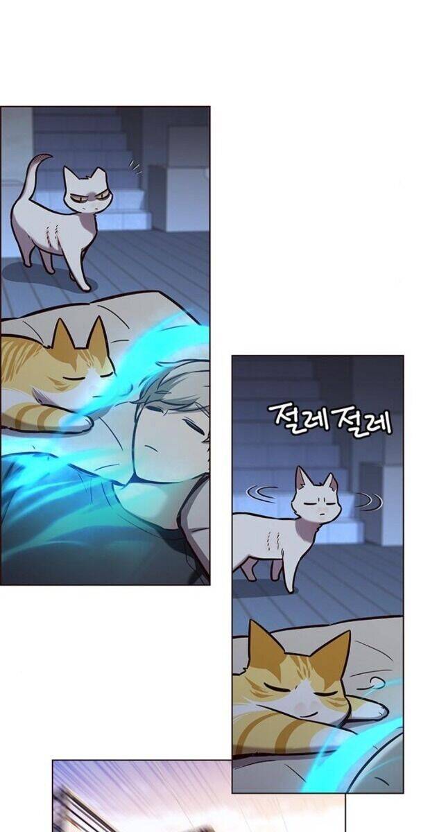 Hoá Thân Thành Mèo - Chapter 174 - Page 54