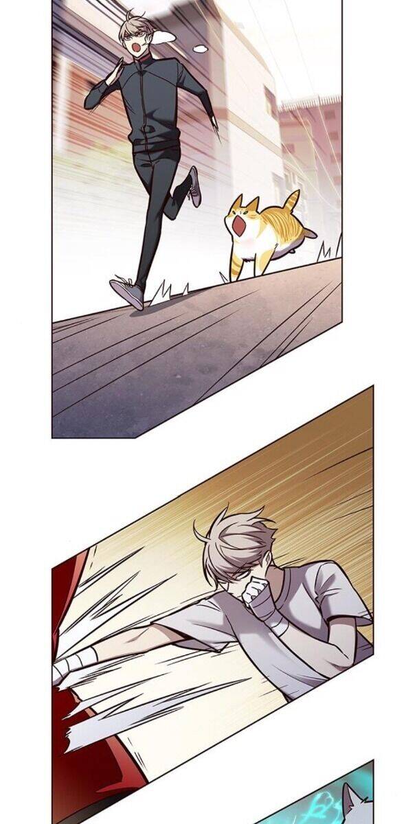 Hoá Thân Thành Mèo - Chapter 174 - Page 55