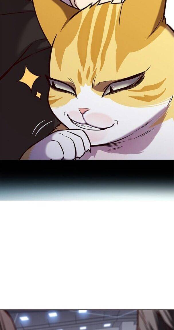 Hoá Thân Thành Mèo - Chapter 176 - Page 50