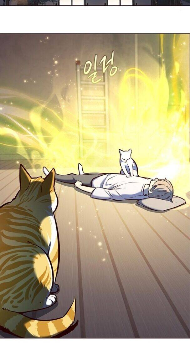 Hoá Thân Thành Mèo - Chapter 176 - Page 55