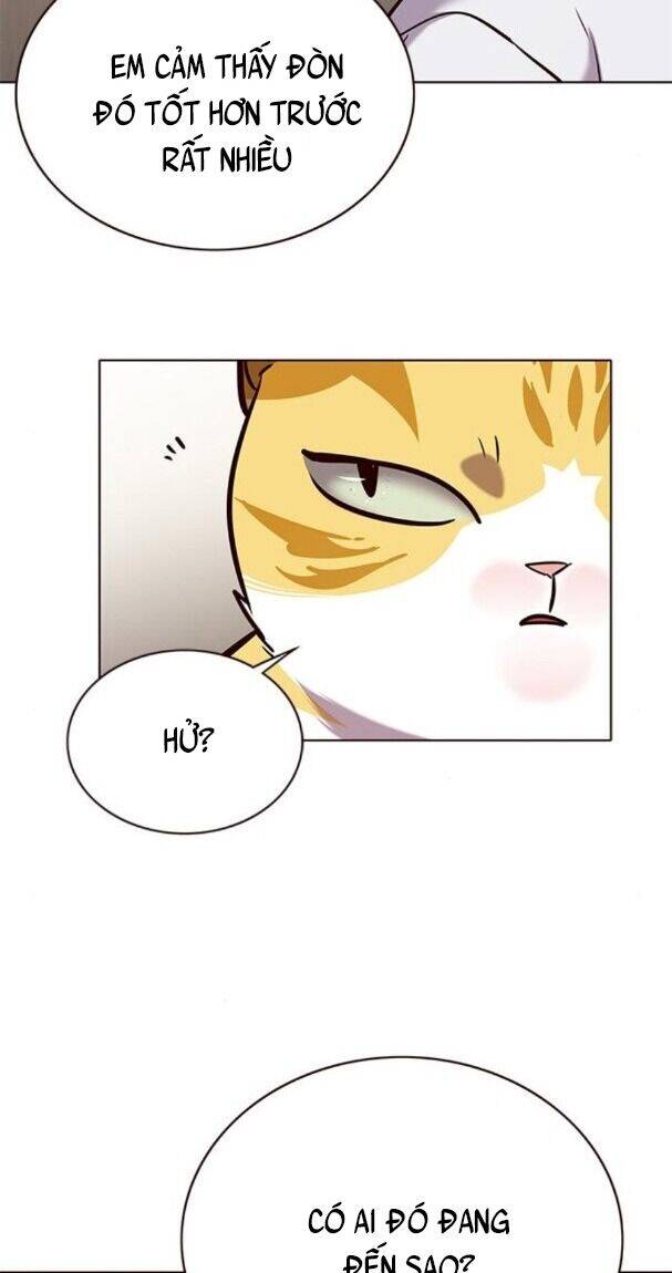 Hoá Thân Thành Mèo - Chapter 176 - Page 58