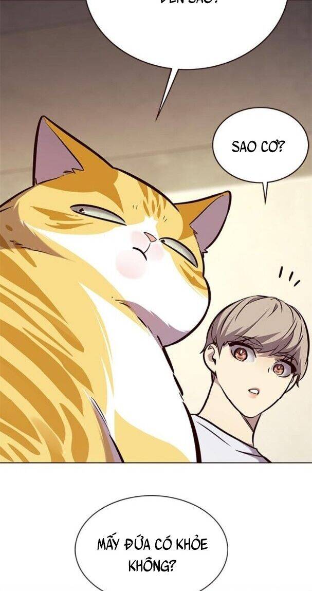Hoá Thân Thành Mèo - Chapter 176 - Page 59