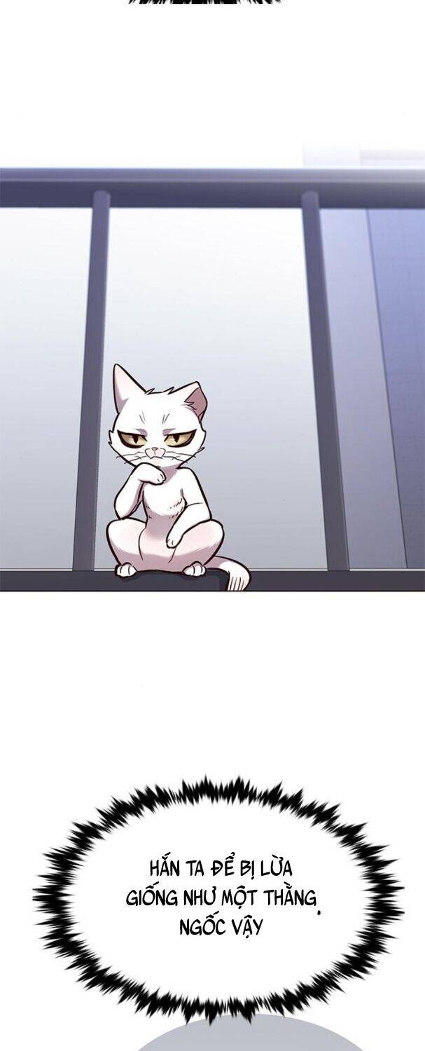 Hoá Thân Thành Mèo - Chapter 176 - Page 8