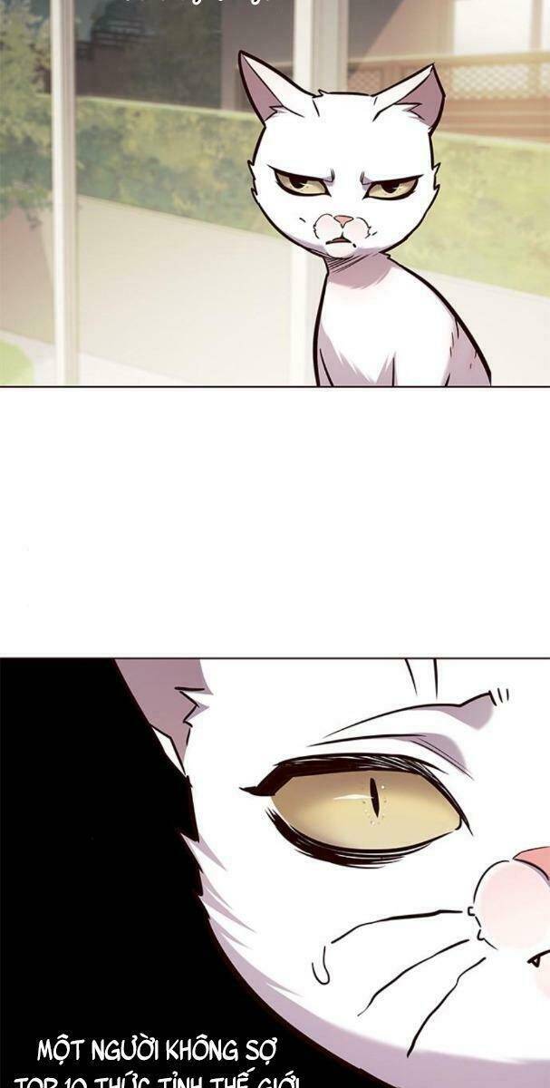 Hoá Thân Thành Mèo - Chapter 177 - Page 46