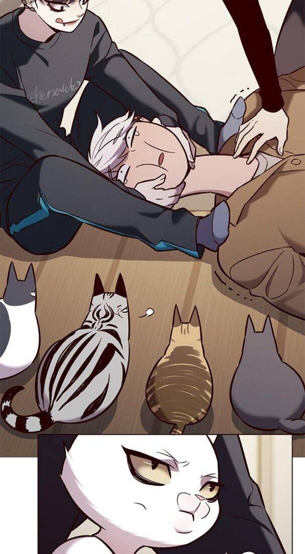 Hoá Thân Thành Mèo - Chapter 178 - Page 22