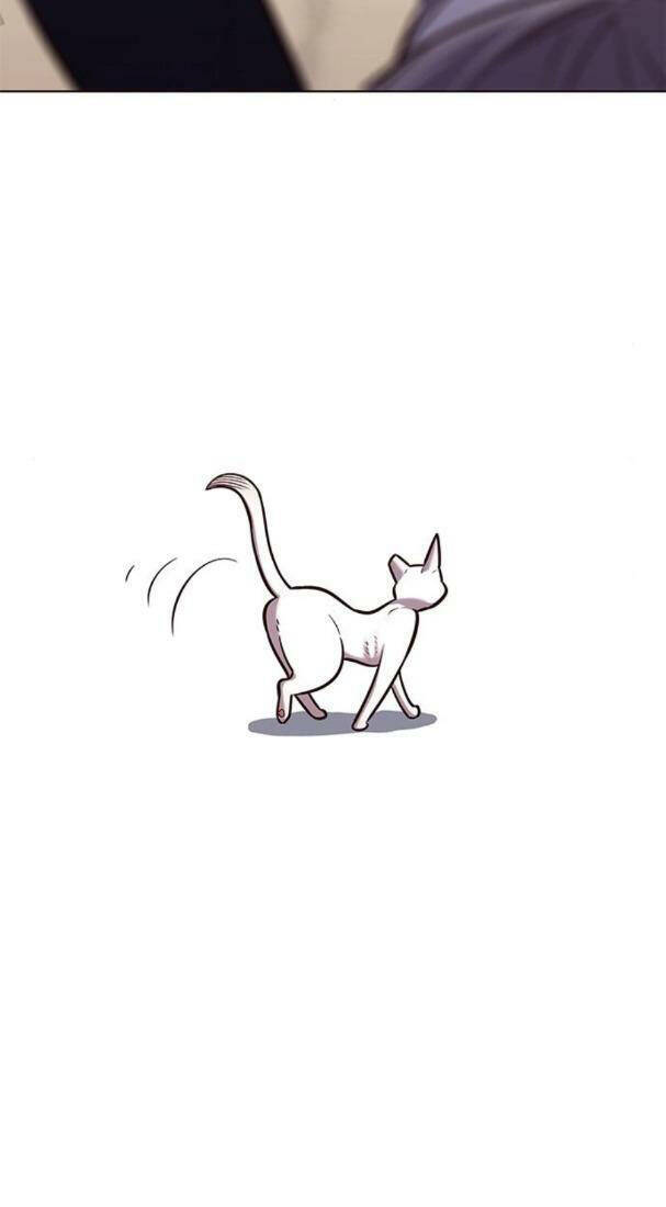 Hoá Thân Thành Mèo - Chapter 178 - Page 24