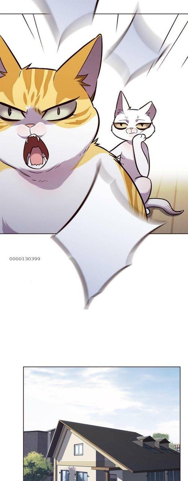 Hoá Thân Thành Mèo - Chapter 179 - Page 24