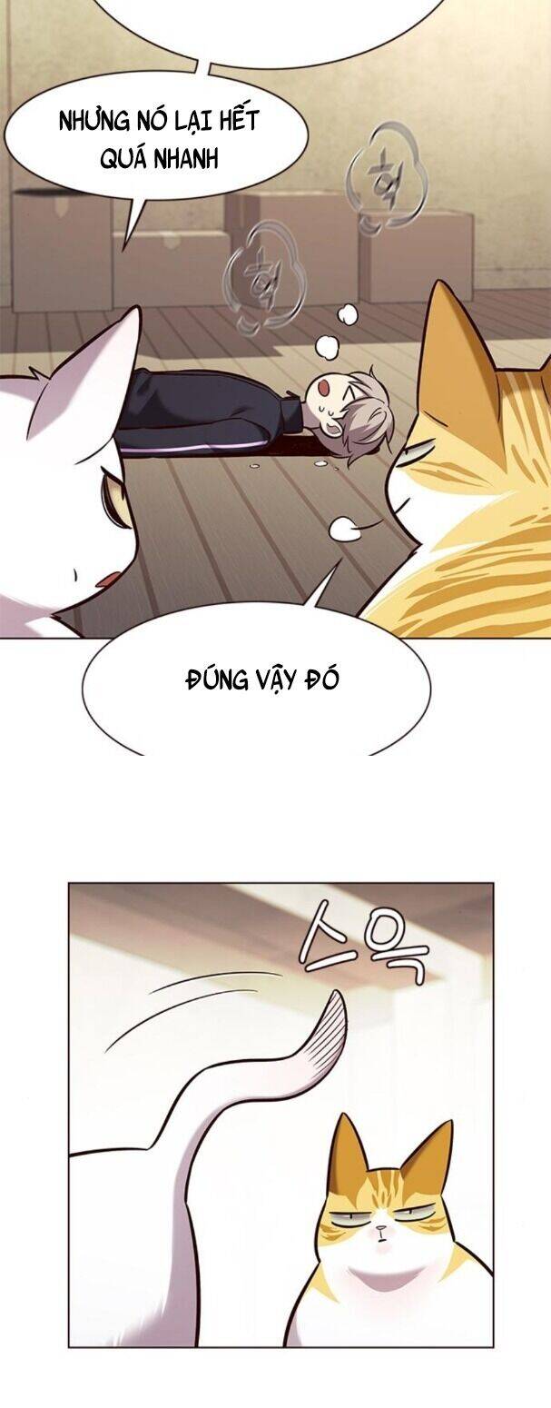 Hoá Thân Thành Mèo - Chapter 179 - Page 26