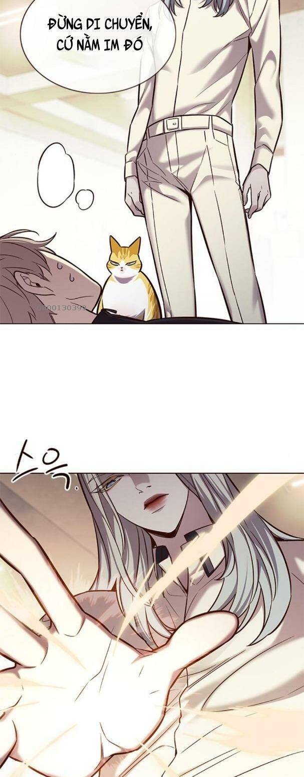Hoá Thân Thành Mèo - Chapter 179 - Page 28