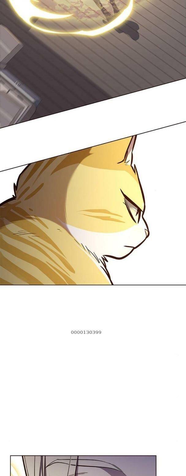 Hoá Thân Thành Mèo - Chapter 179 - Page 30