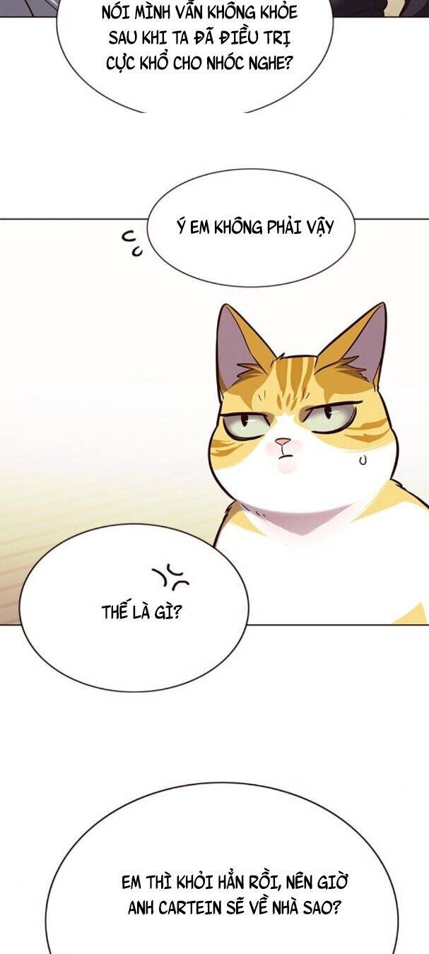 Hoá Thân Thành Mèo - Chapter 179 - Page 35