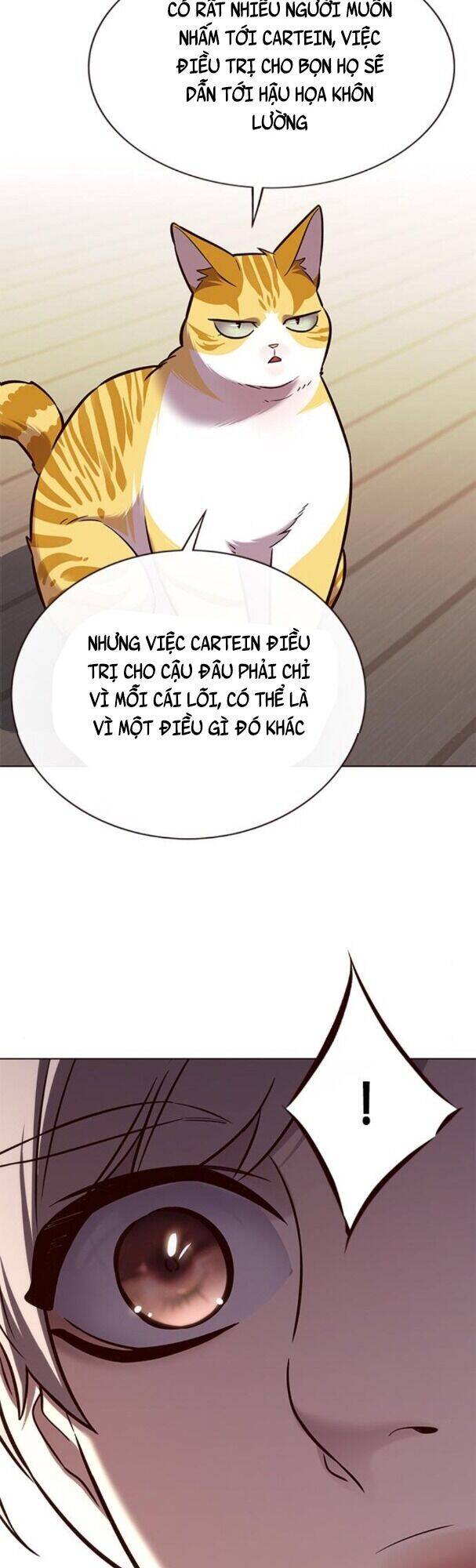 Hoá Thân Thành Mèo - Chapter 179 - Page 43