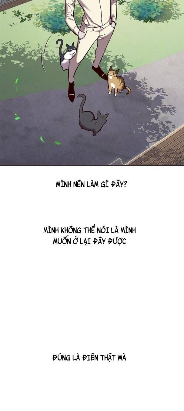 Hoá Thân Thành Mèo - Chapter 179 - Page 47