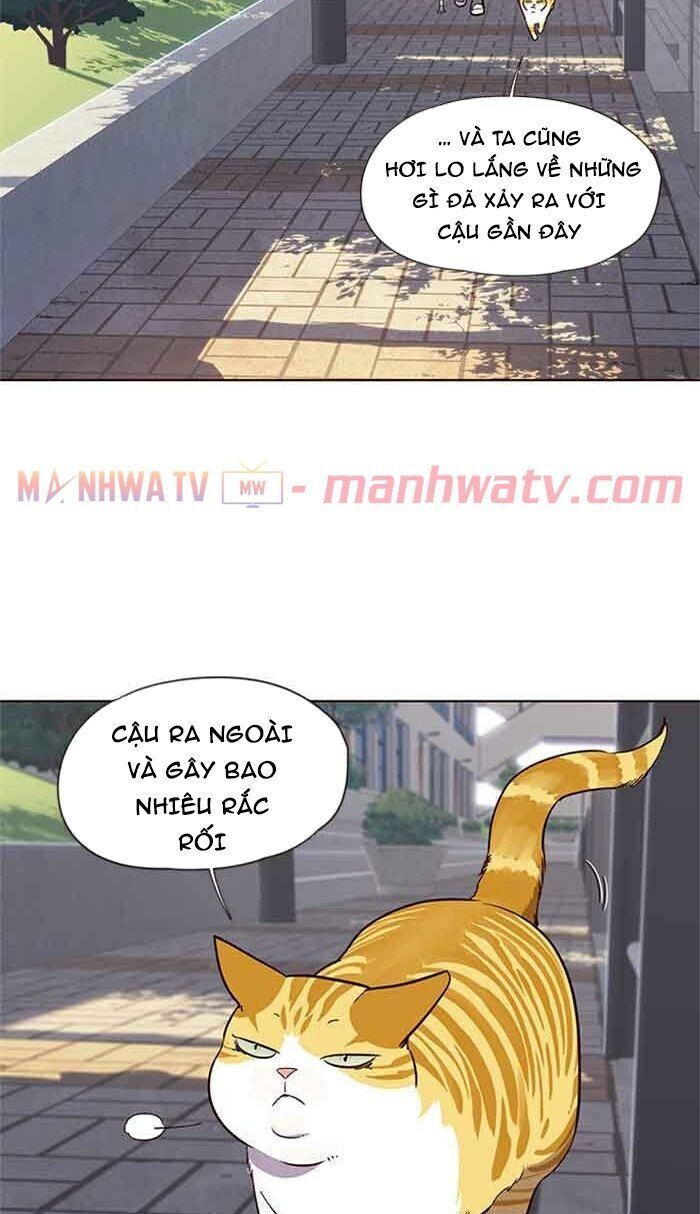 Hoá Thân Thành Mèo - Chapter 18 - Page 53