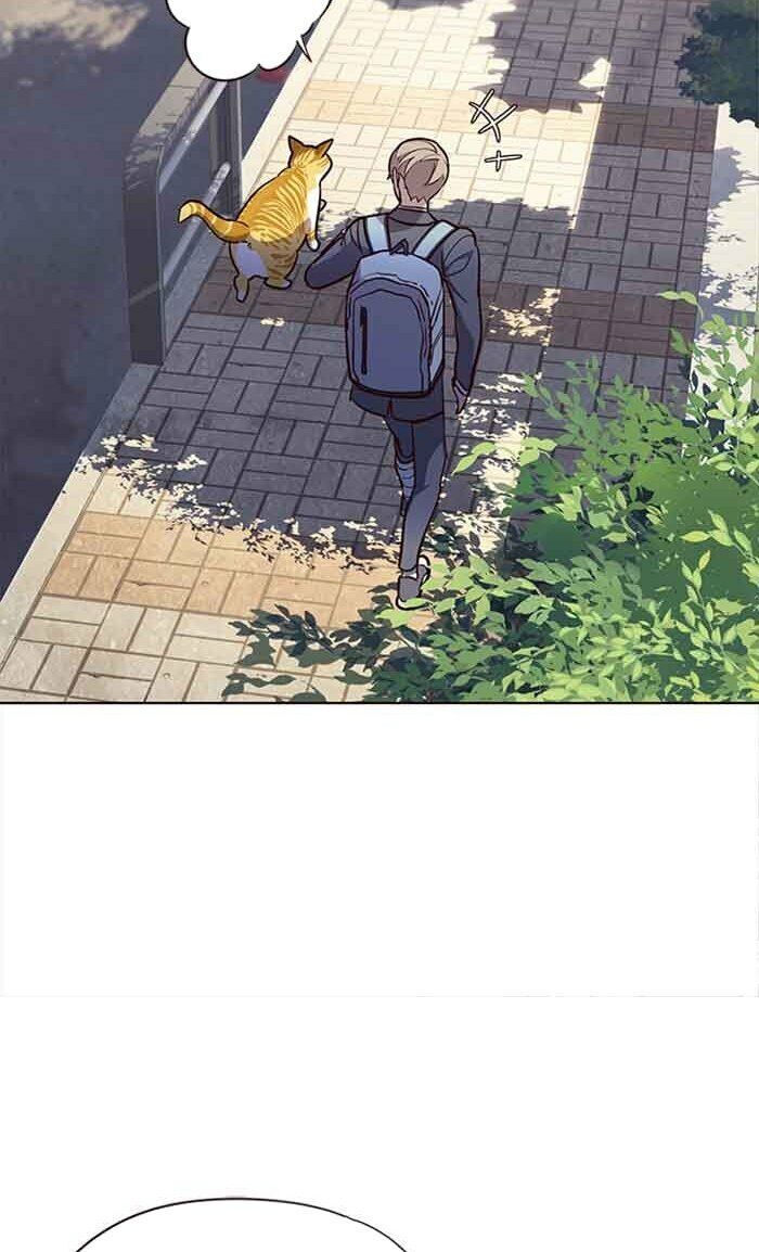 Hoá Thân Thành Mèo - Chapter 18 - Page 66