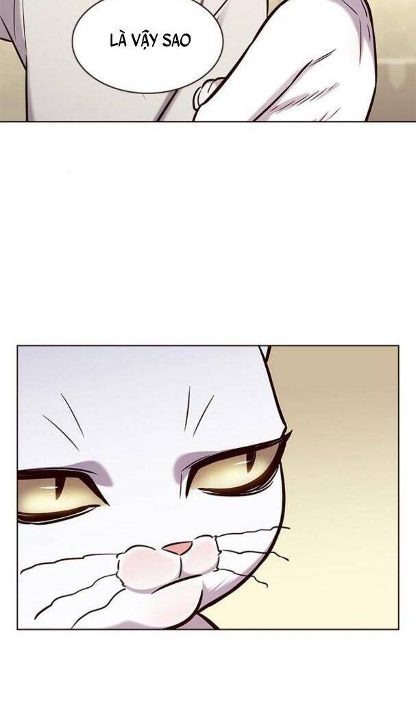 Hoá Thân Thành Mèo - Chapter 180 - Page 12