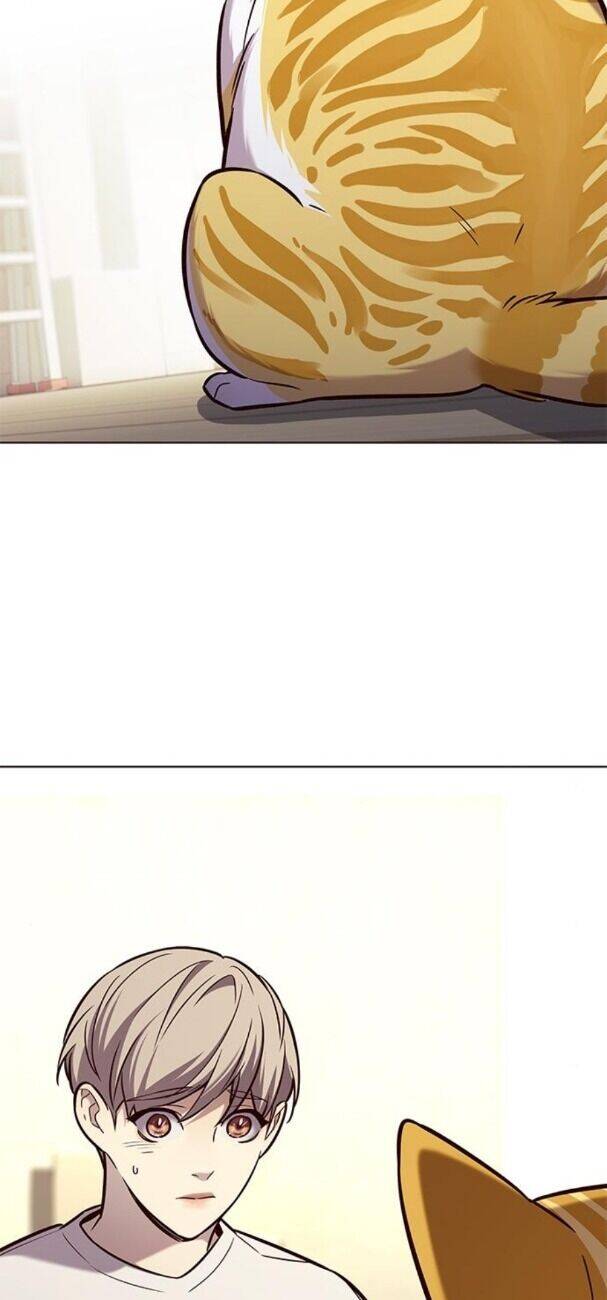 Hoá Thân Thành Mèo - Chapter 180 - Page 14