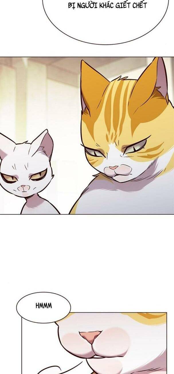 Hoá Thân Thành Mèo - Chapter 180 - Page 18