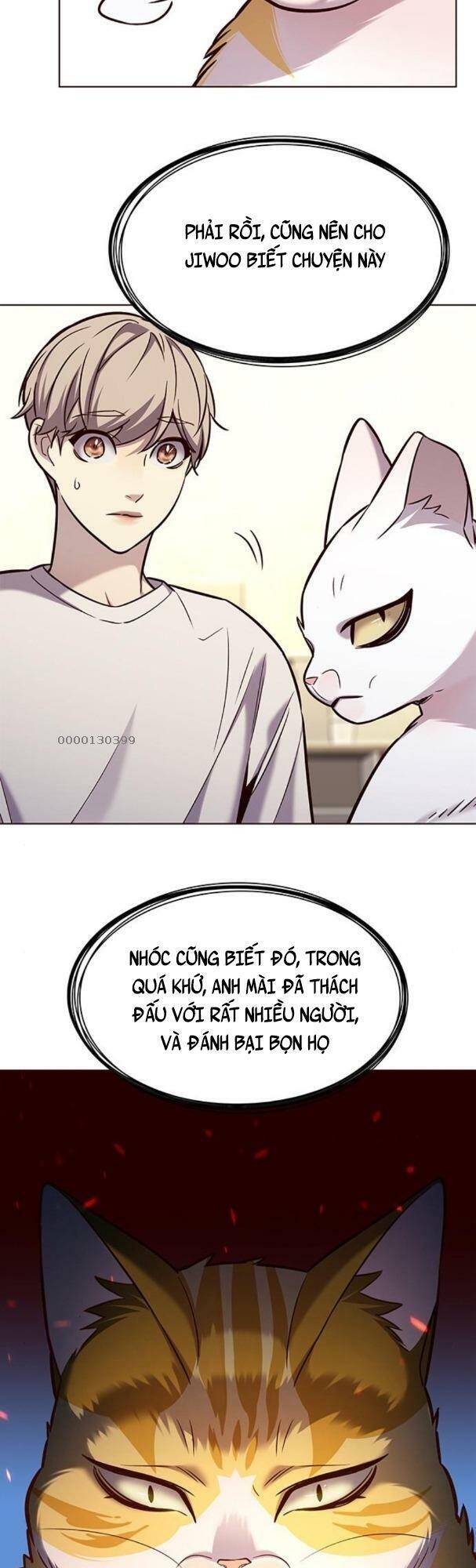 Hoá Thân Thành Mèo - Chapter 180 - Page 19