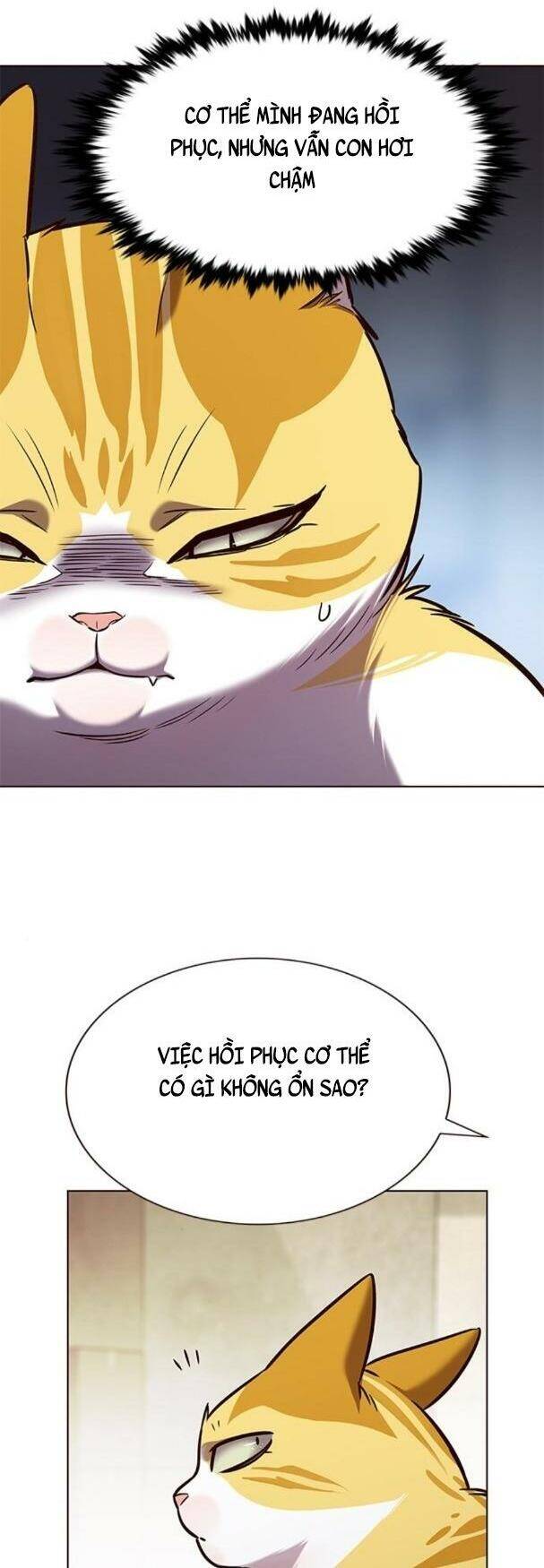 Hoá Thân Thành Mèo - Chapter 180 - Page 3