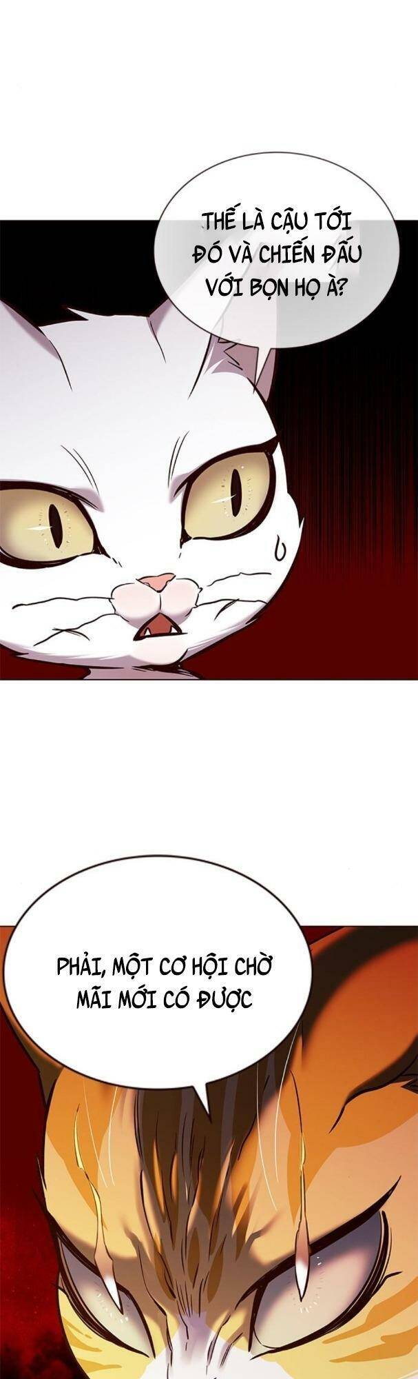 Hoá Thân Thành Mèo - Chapter 180 - Page 33