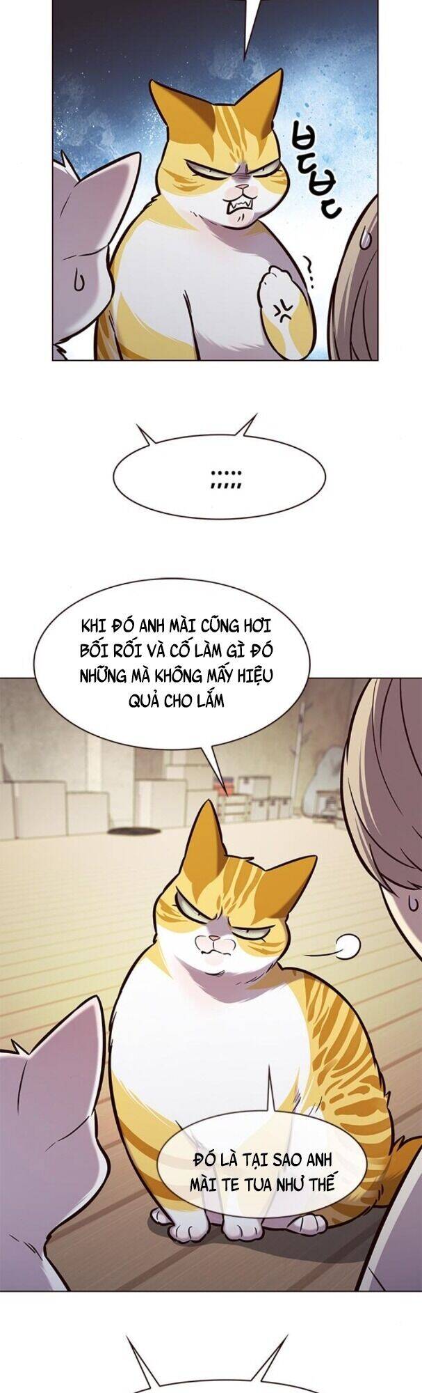 Hoá Thân Thành Mèo - Chapter 180 - Page 38