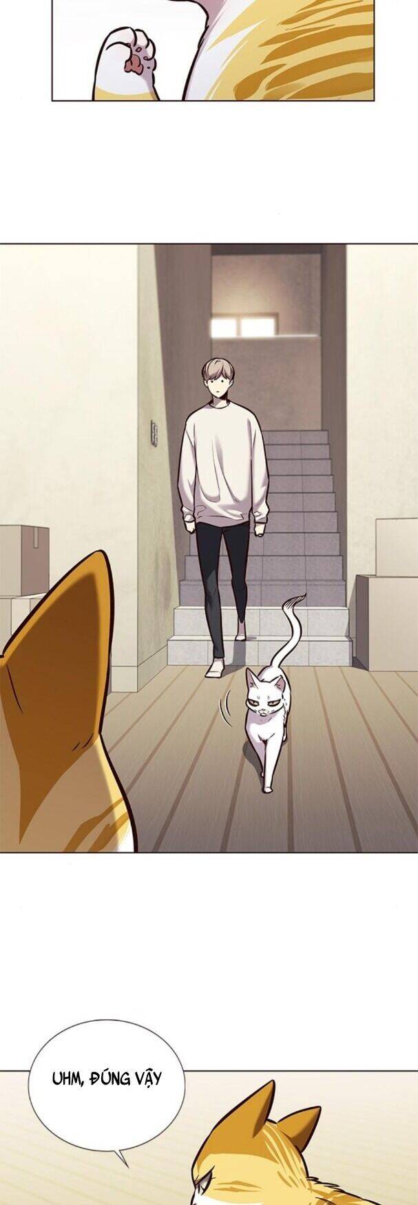 Hoá Thân Thành Mèo - Chapter 180 - Page 4