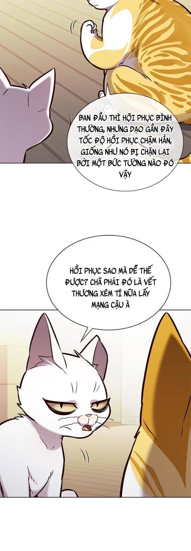 Hoá Thân Thành Mèo - Chapter 180 - Page 5