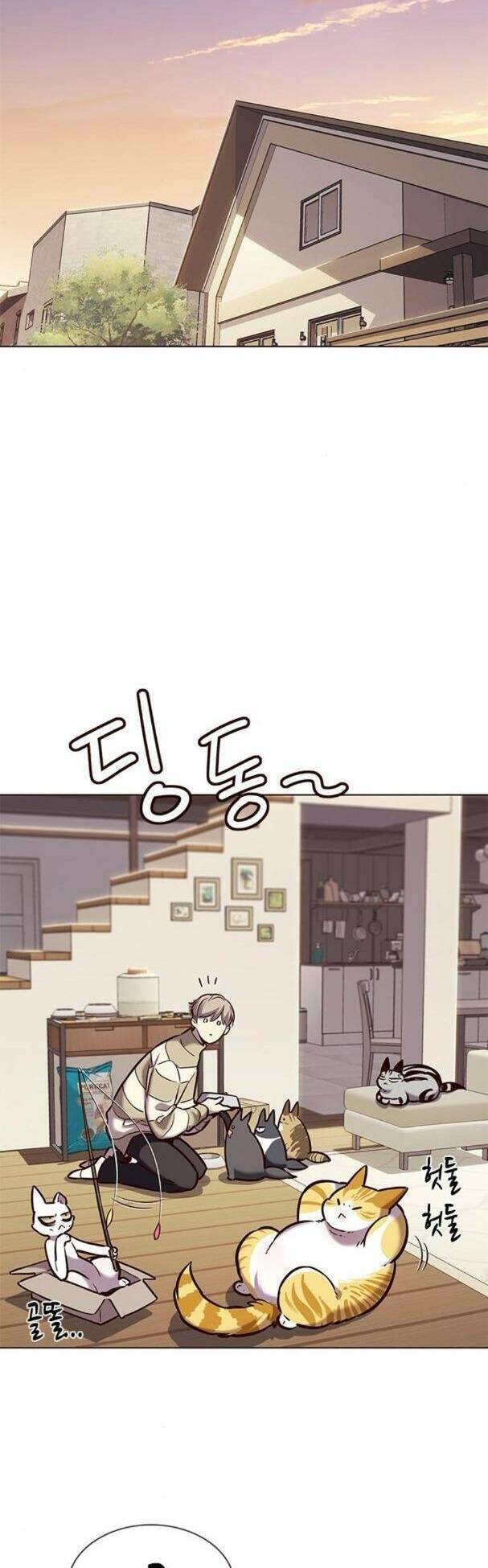 Hoá Thân Thành Mèo - Chapter 181 - Page 11