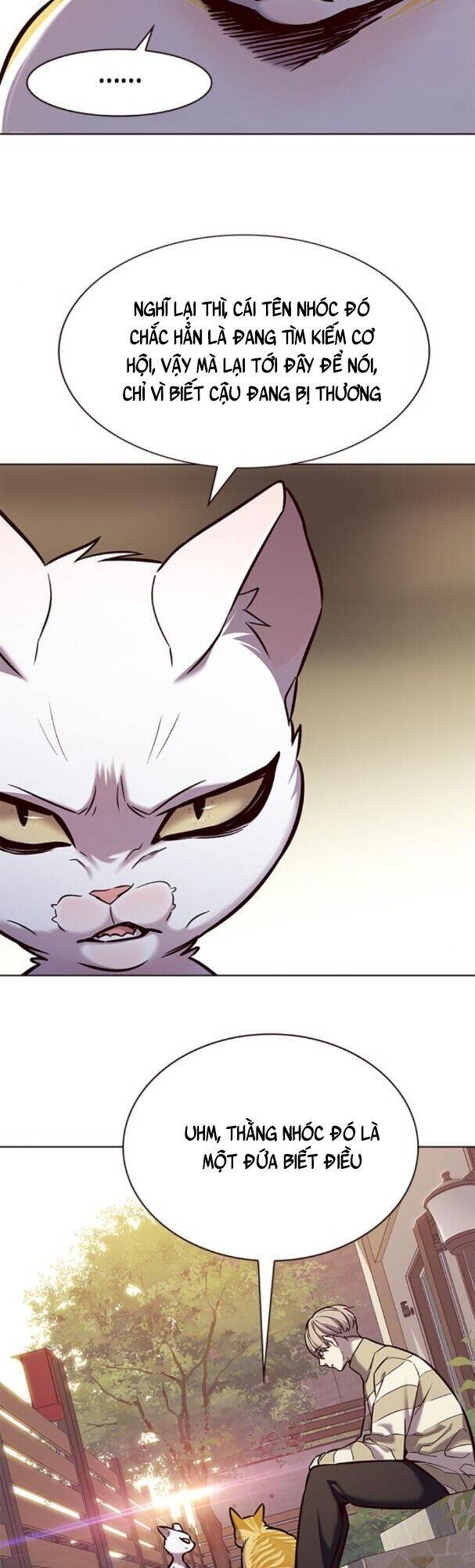Hoá Thân Thành Mèo - Chapter 181 - Page 49