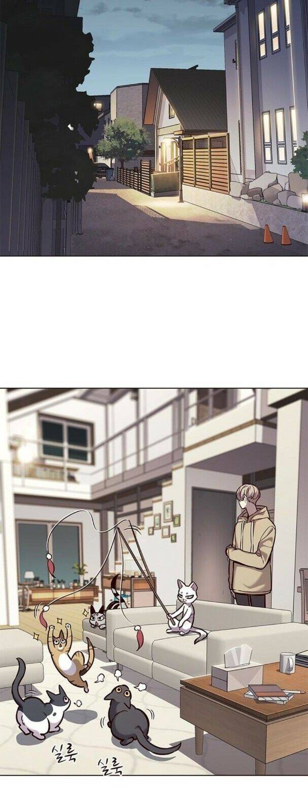 Hoá Thân Thành Mèo - Chapter 182 - Page 13