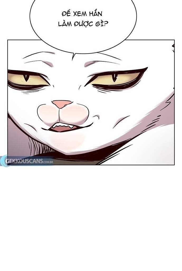 Hoá Thân Thành Mèo - Chapter 187 - Page 10