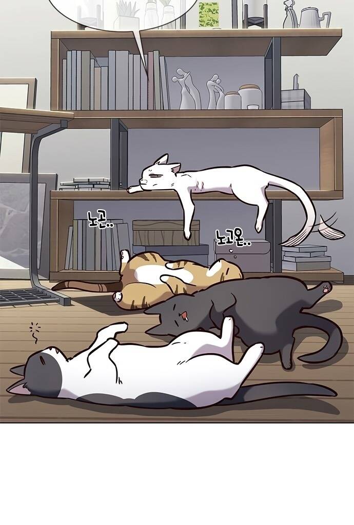 Hoá Thân Thành Mèo - Chapter 187 - Page 3