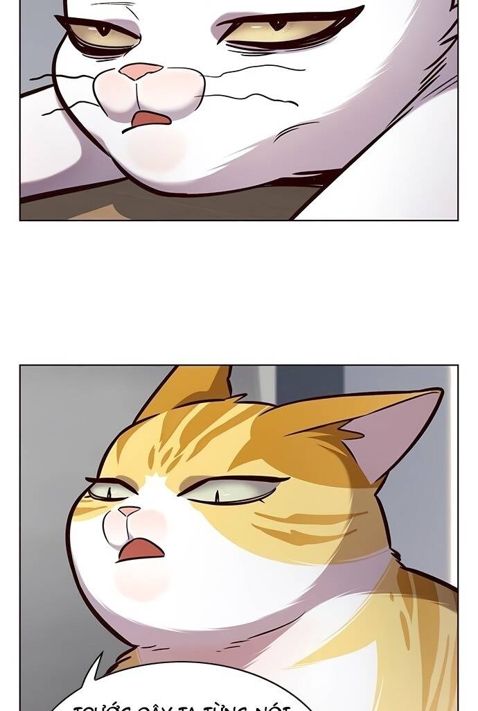 Hoá Thân Thành Mèo - Chapter 187 - Page 6