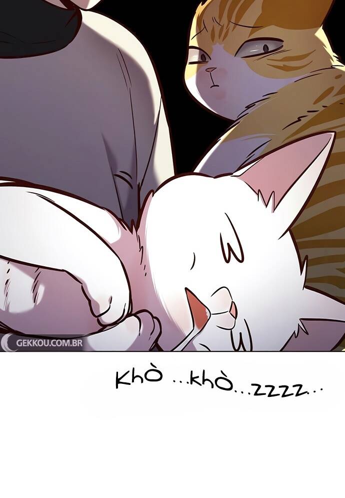 Hoá Thân Thành Mèo - Chapter 188 - Page 11