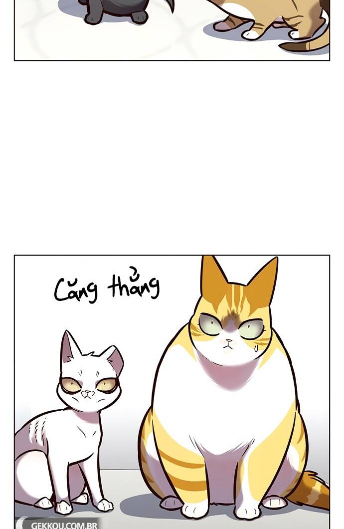 Hoá Thân Thành Mèo - Chapter 188 - Page 26